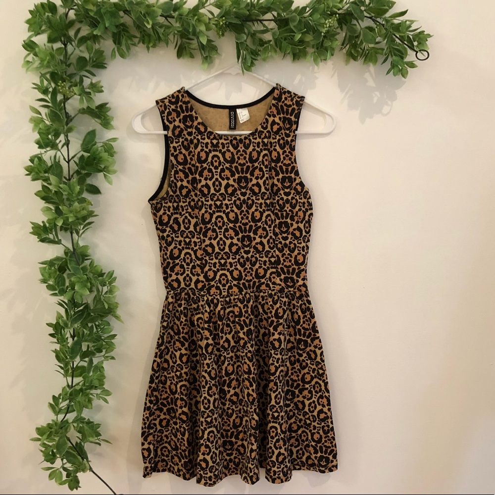 Cheetah Print Skater Dress
